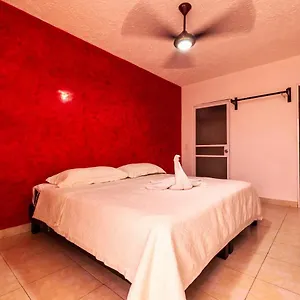 Caribe Express Cozumel