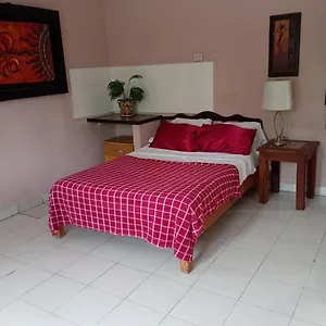 Apartment En Planta Alta A Pie De Avenida, Cozumel